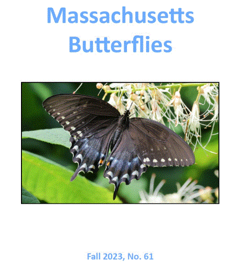 Cover of Fall 2023 Issue of 'Massachusetts Butterflies'